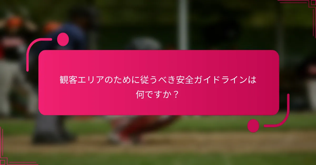 観客エリアのために従うべき安全ガイドラインは何ですか？