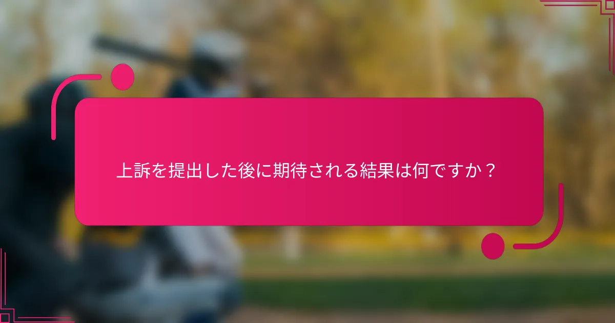 上訴を提出した後に期待される結果は何ですか？